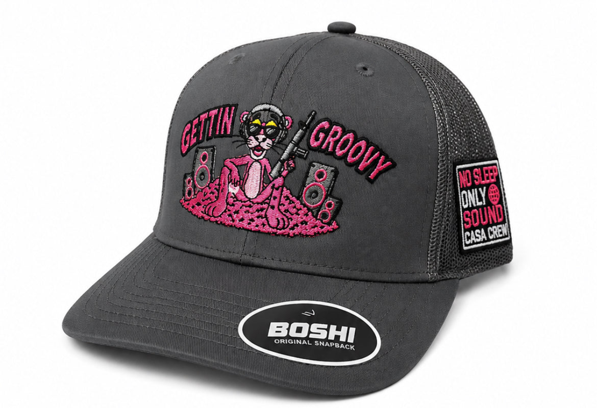 Gettin Groovy Panther Cap Grey